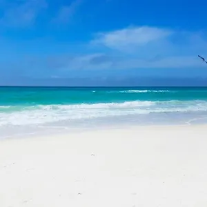 Calypso 3-807 Panama City Beach
